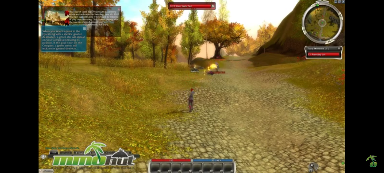 jeu pc guild wars special edition vendu en bon etat par blaspo