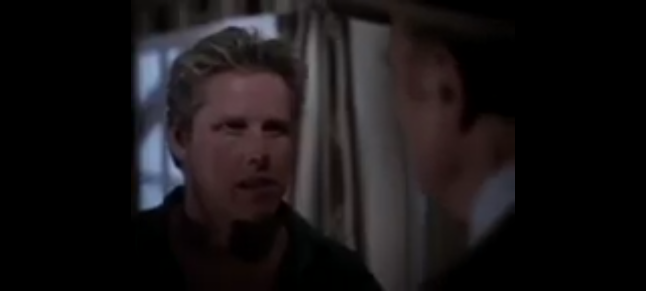 dvd gary busey est l'ultime recours