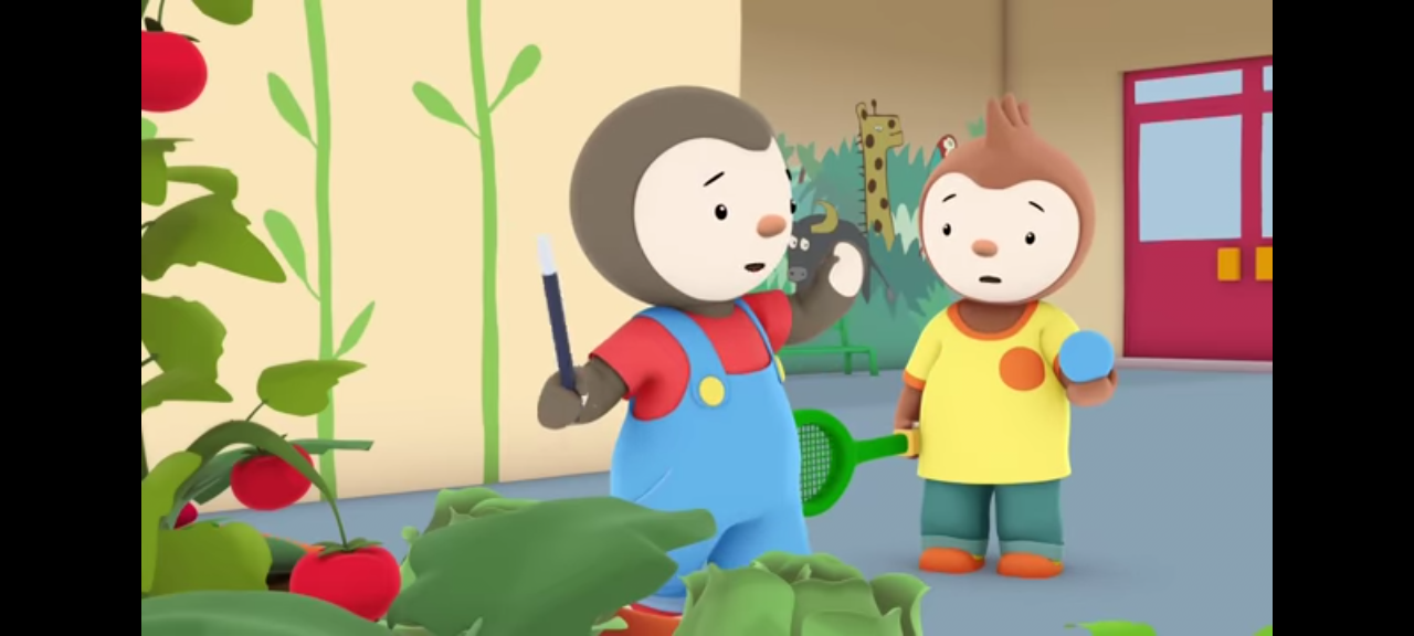 dvd t'choupi le magicien