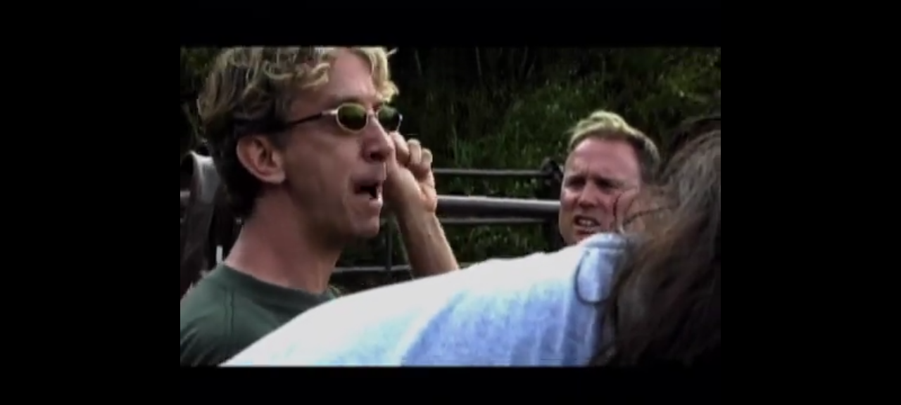 dvd good lucck chuck