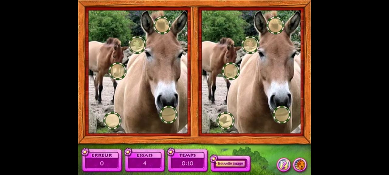 jeu pc chloé 50 aventures autour du cheval