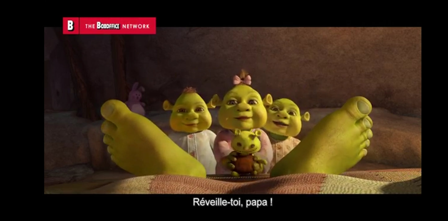 DVD Shrek 4 Il était une fin – Le Dernier Chapitre – DreamWorks – Audio FR/EN dvd