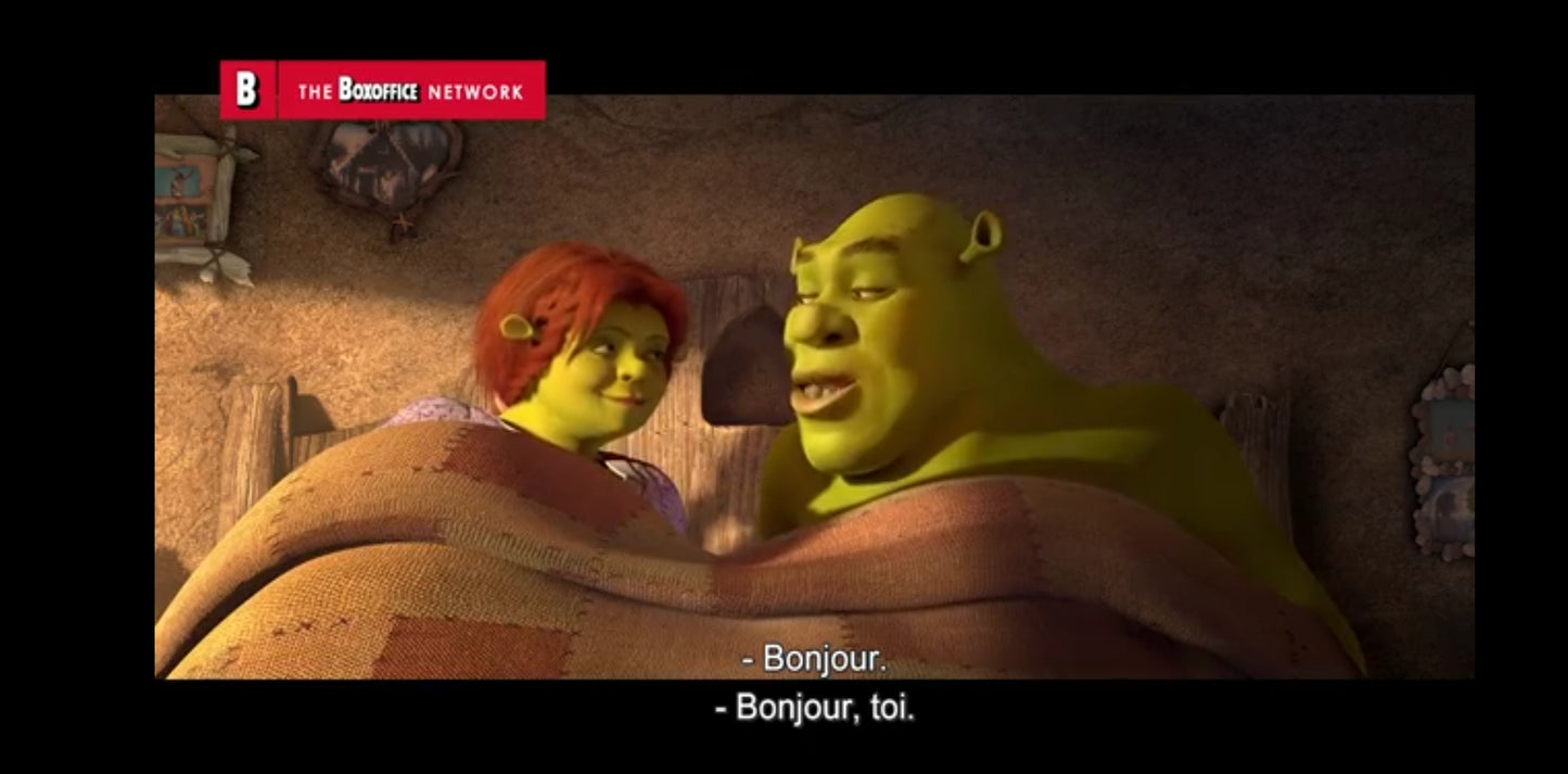 DVD Shrek 4 Il était une fin – Le Dernier Chapitre – DreamWorks – Audio FR/EN dvd
