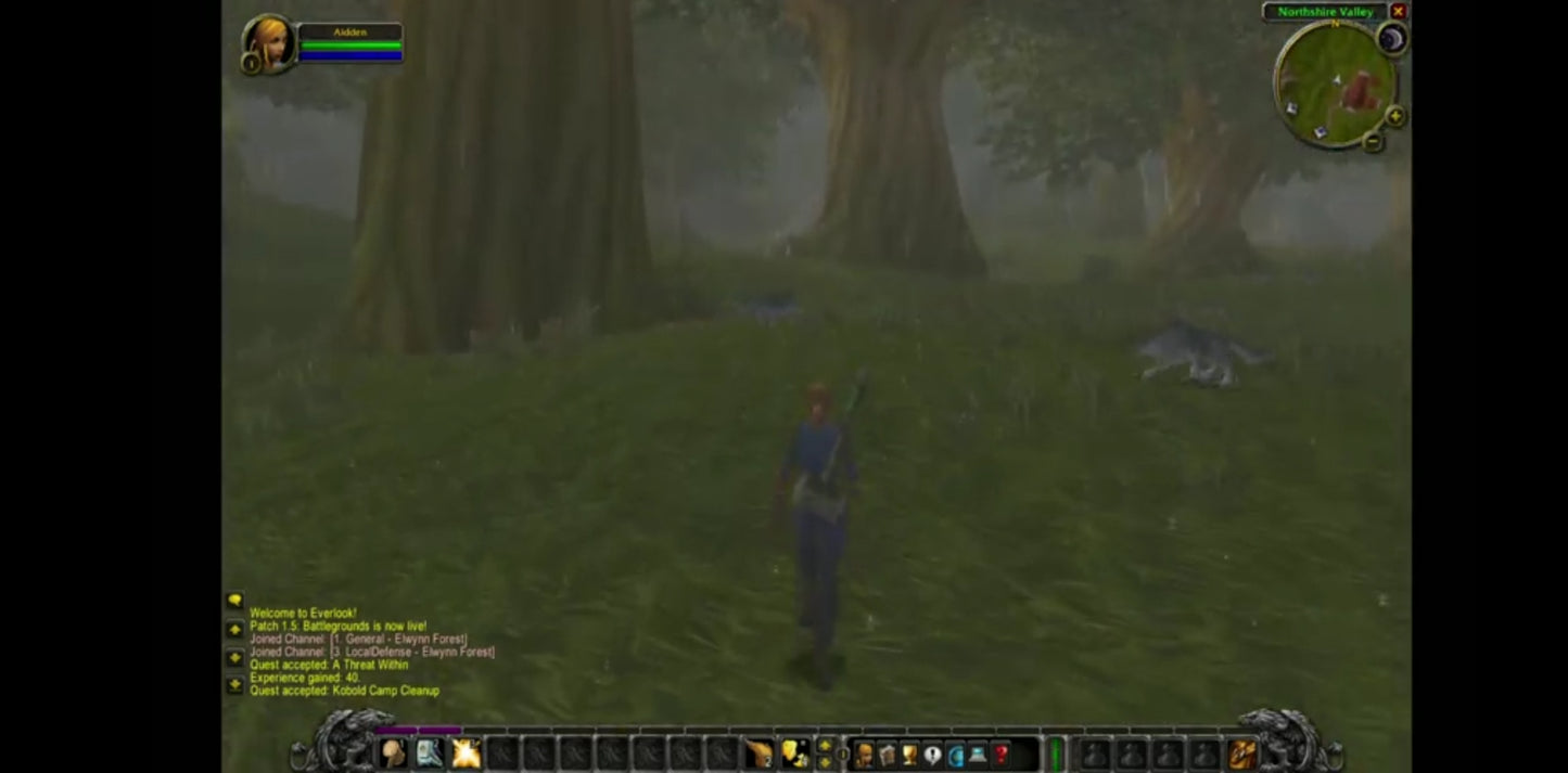 World of Warcraft – Jeu PC – CD 1 seul – Sans boîtier – Version européenne jeu pc
