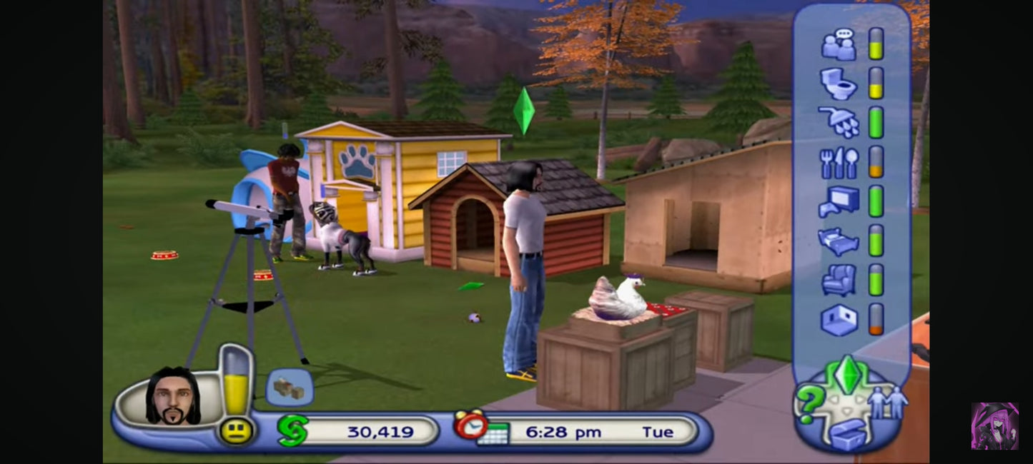 The Sims 2 Pets – Jeu PS2 – CD seul sans boîtier