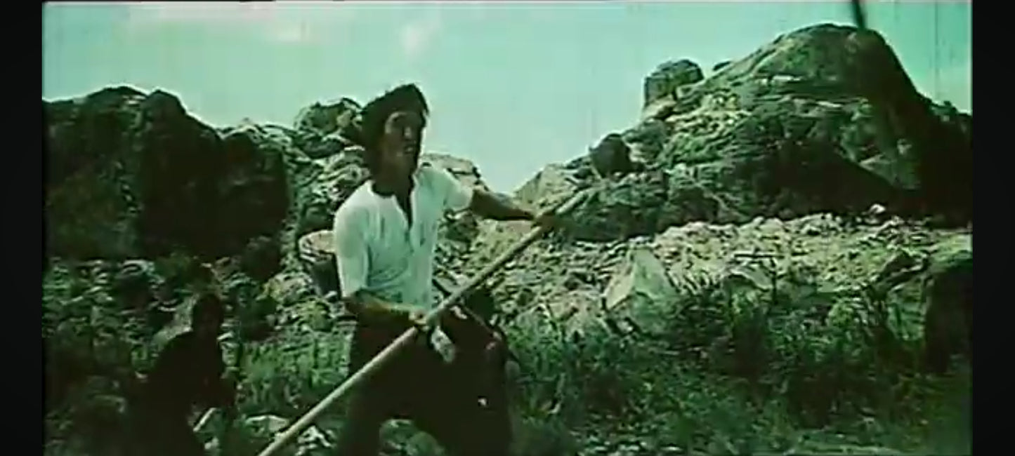 Les Derniers Jours du Dragon – DVD Kung-Fu – Disque seul – Fonctionnel – Sans boîtier