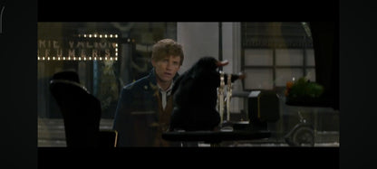 Les Animaux Fantastiques – DVD | Eddie Redmayne | Warner Bros | VF & VO | Occasion Bon État