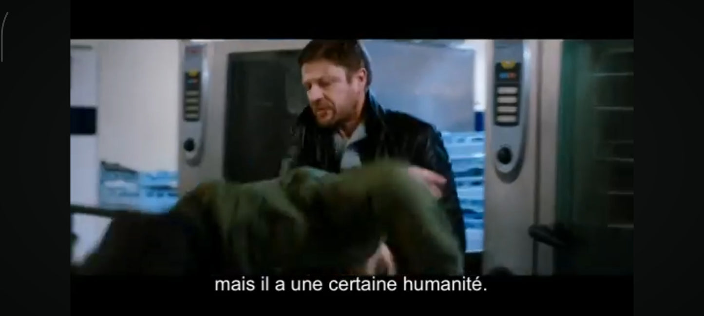 Menace d’État DVD Sean Bean Thriller Action Espionnage Film Policier Version Française