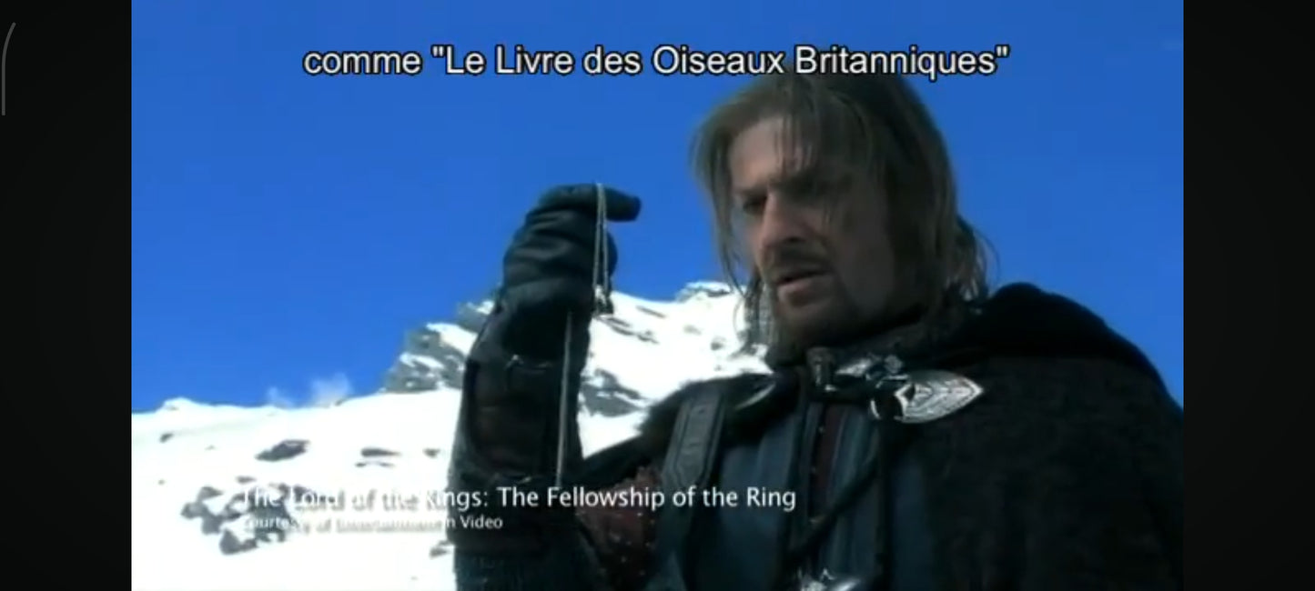 Menace d’État DVD Sean Bean Thriller Action Espionnage Film Policier Version Française