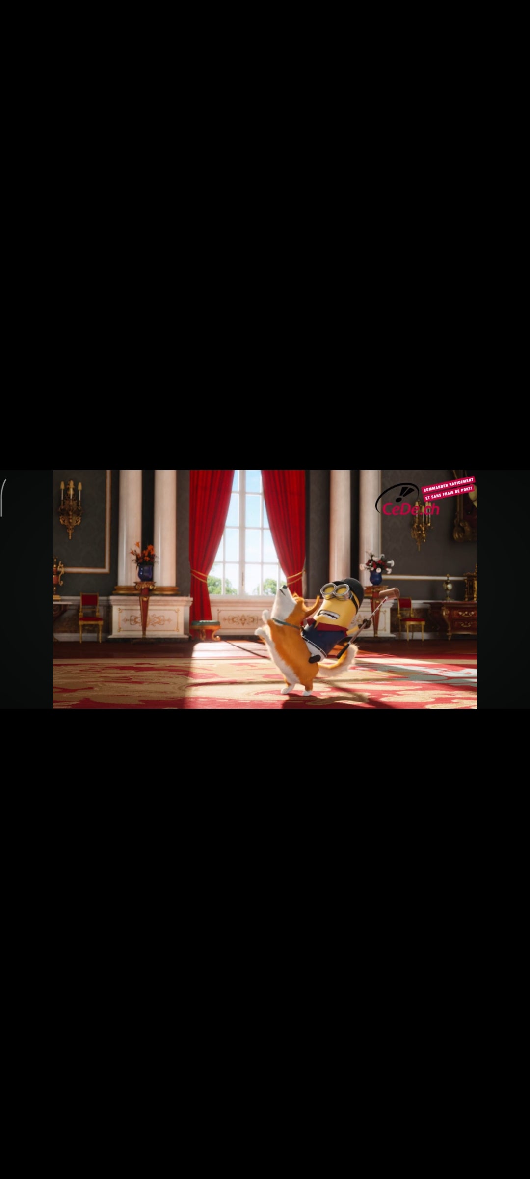 Les Minions DVD Seul Sans Boîtier Film Animation Occasion