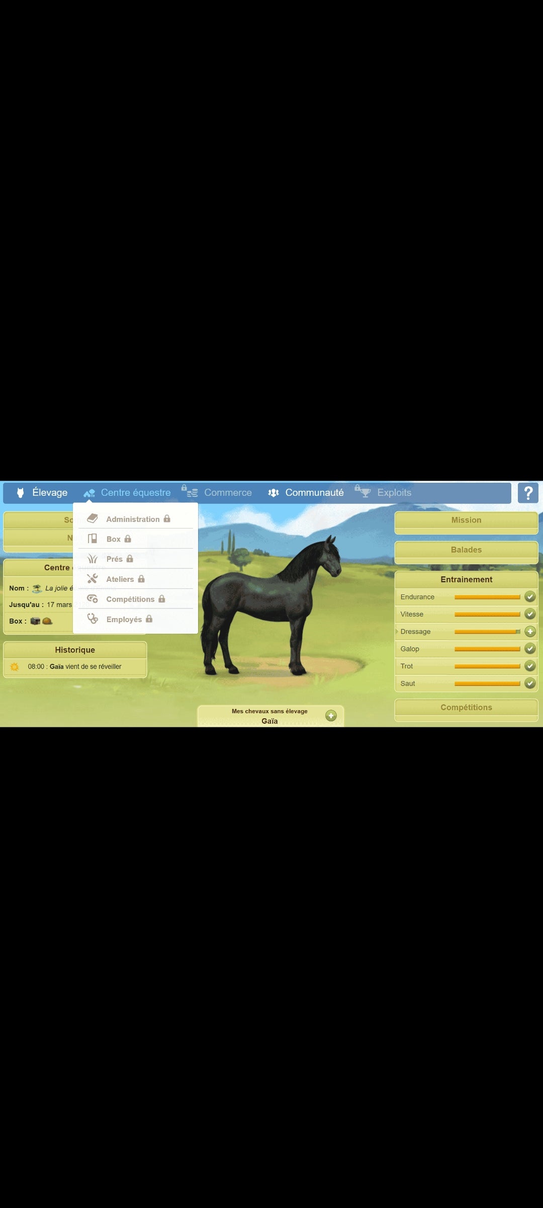 Jeux de Chevaux 1 – PC CD-ROM – 10 Mini-Jeux Équestres – Enfants – Version Française