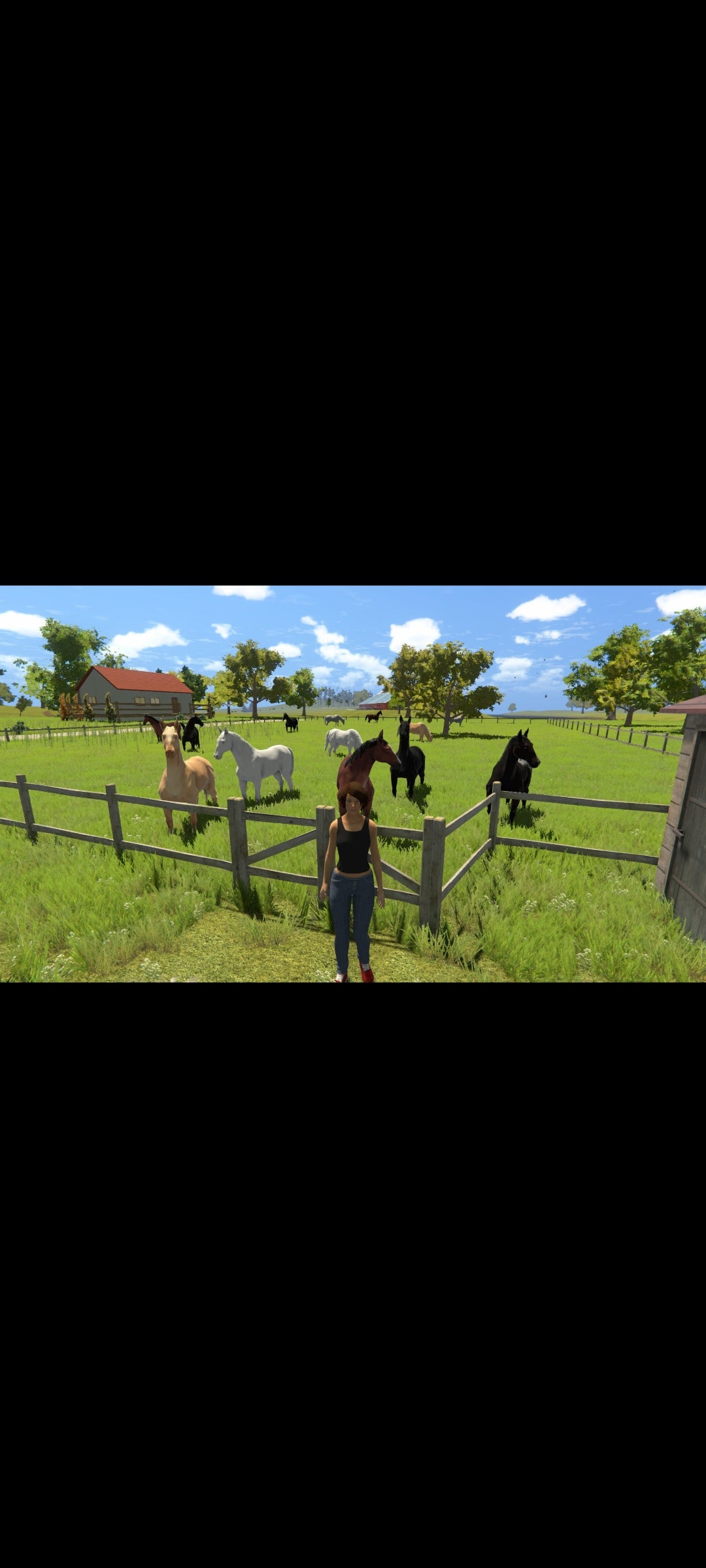 Jeux de Chevaux 1 – PC CD-ROM – 10 Mini-Jeux Équestres – Enfants – Version Française