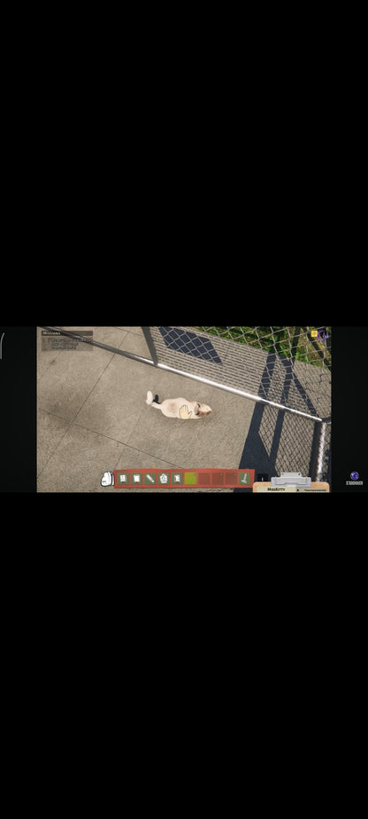 Le Club des Animaux – Jeu PC CD-ROM | SDLL | 25 Jeux Éducatifs | Enfants | Version Française