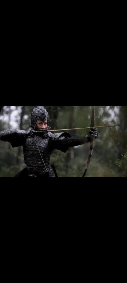 Kingdom of War: El Reino de los Guerreros DVD – Acción Guerra Histórico – Tony Ching Siu-Tung – Versión en francés