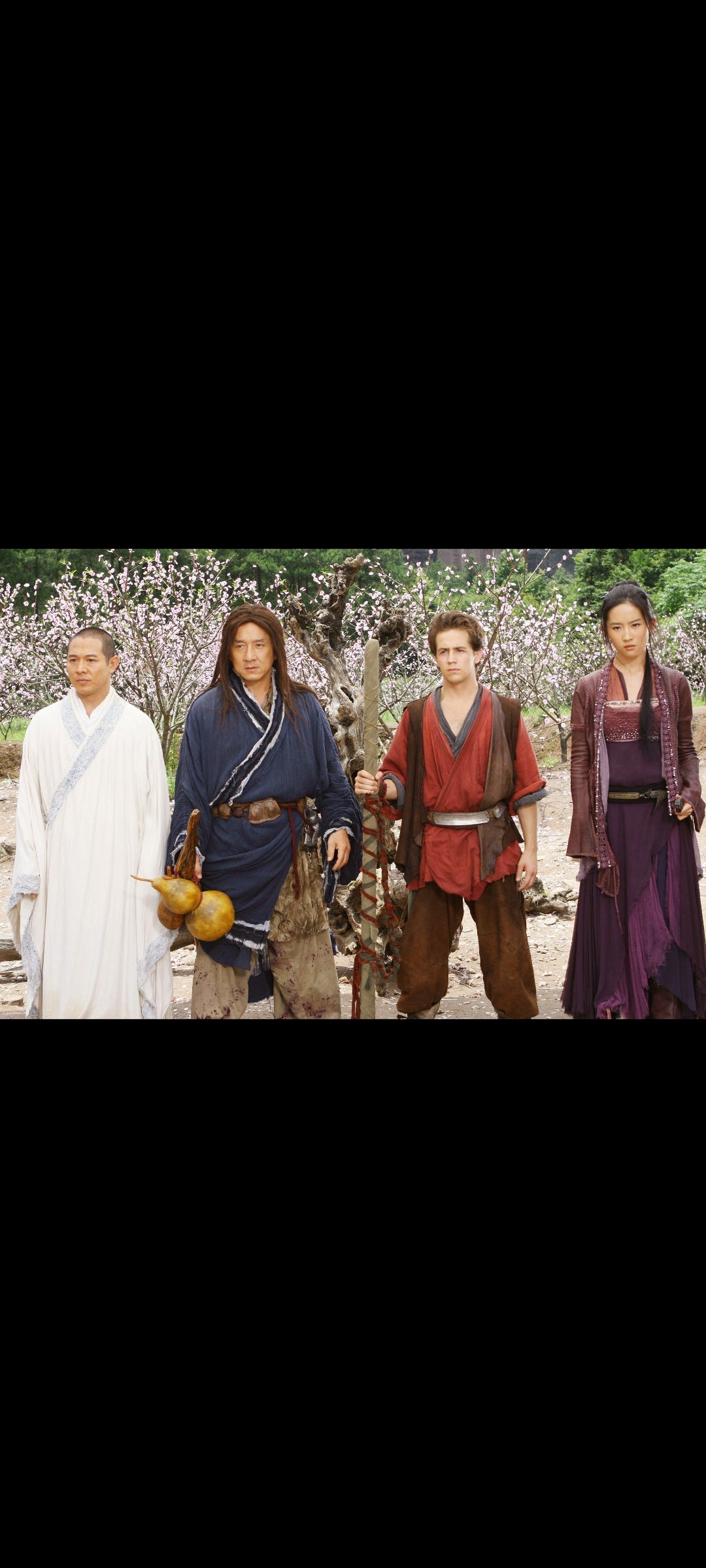 The Forbidden Kingdom DVD – Jackie Chan, Jet Li – Action Arts Martiaux – Zone 2 VO