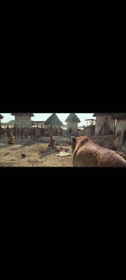 10,000 BC DVD – Roland Emmerich | Steven Strait, Camilla Belle | Warner Bros Zone 2 PAL
