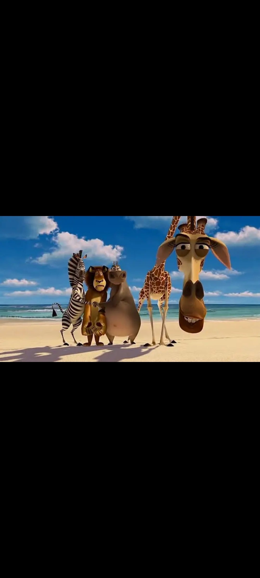 Madagascar - DVD DreamWorks Animation