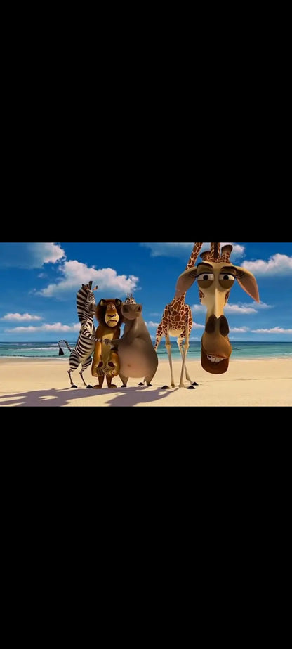 Madagascar - DVD DreamWorks Animation