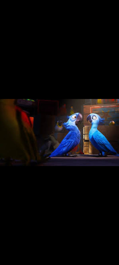 Rio – DVD Blue Sky Studios | VF/VO | Par les créateurs de L'Âge de Glace