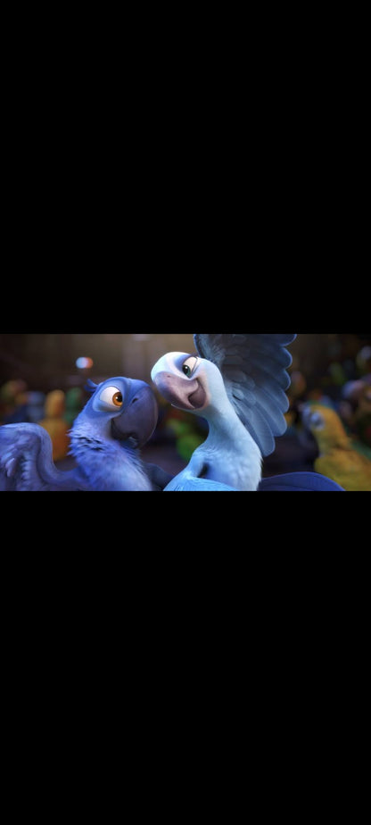 Rio – DVD Blue Sky Studios | VF/VO | Par les créateurs de L'Âge de Glace