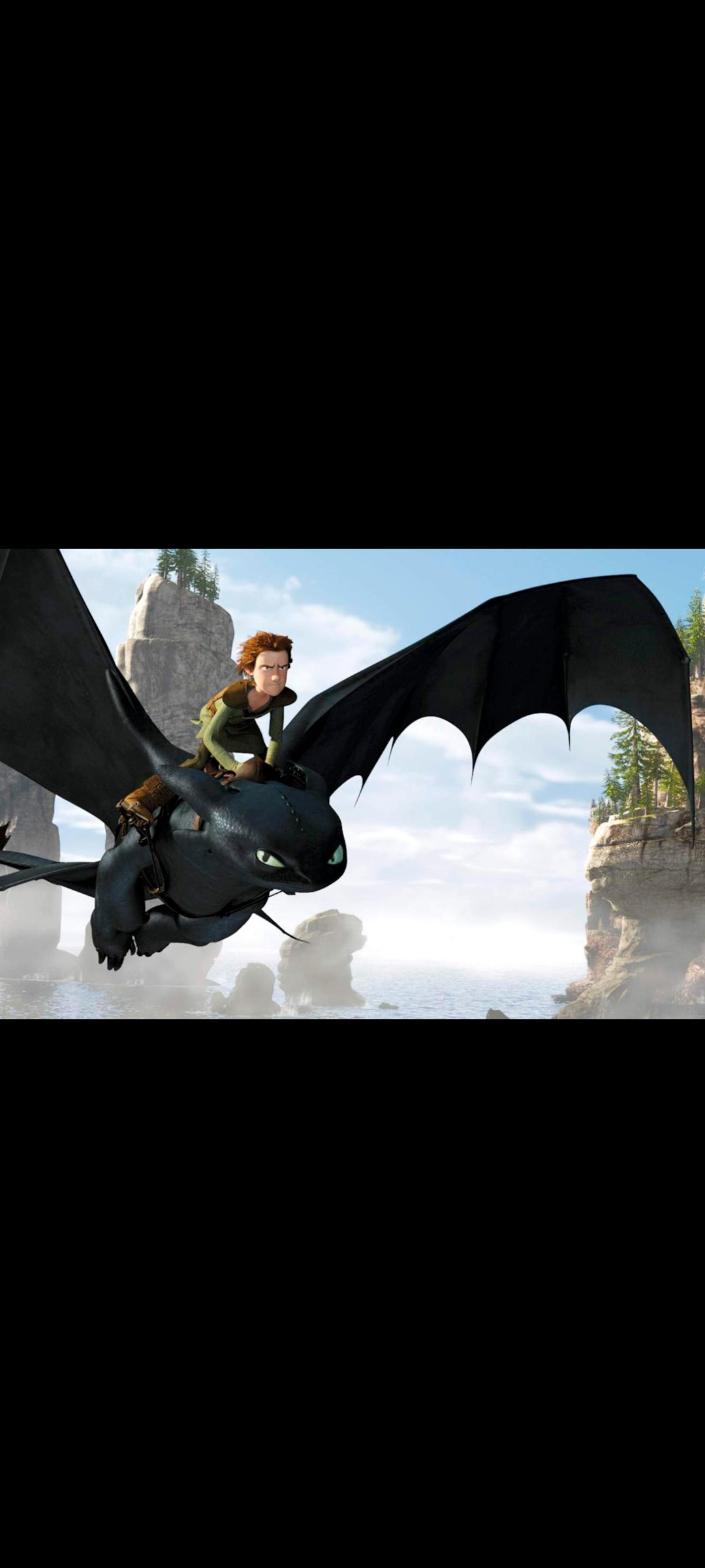 Dragons - DVD DreamWorks Animation