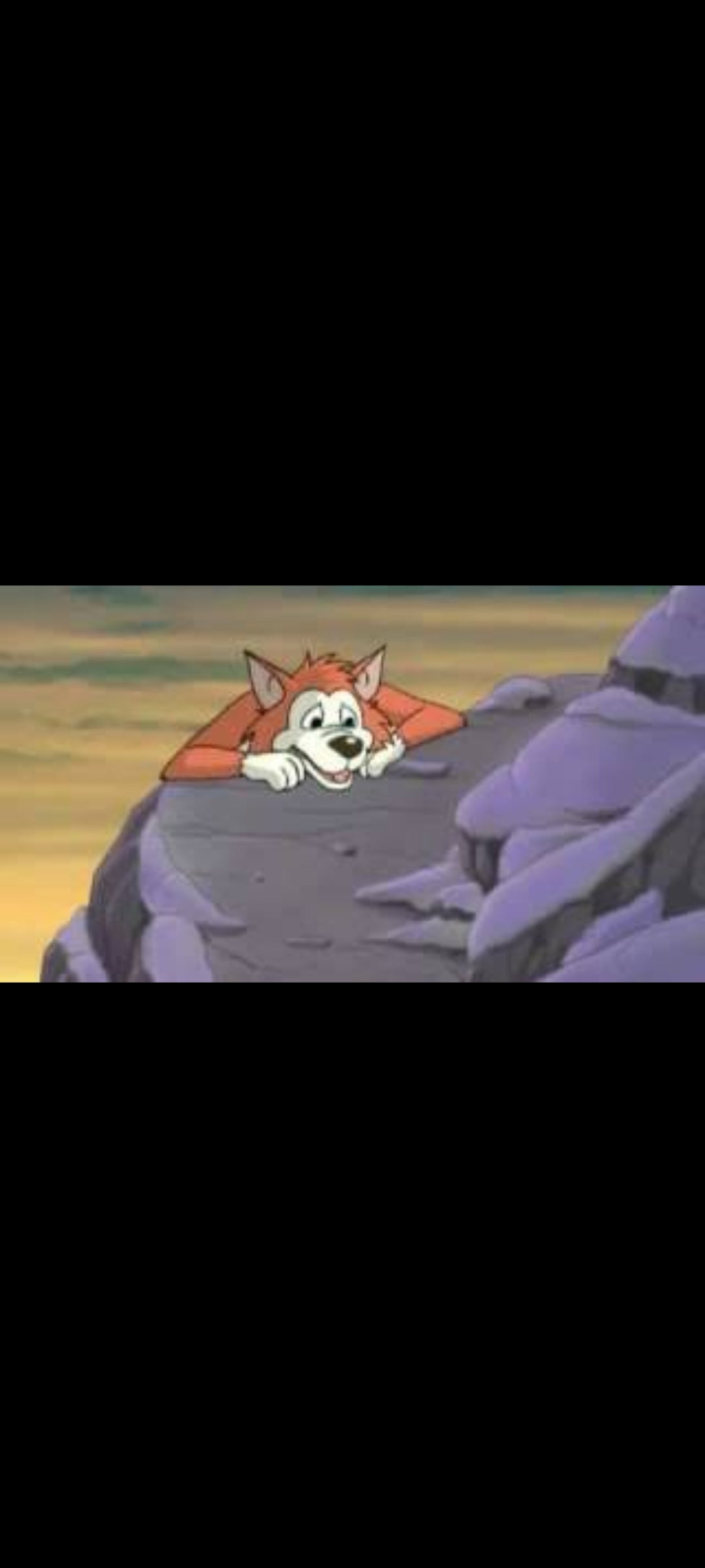 Le Grand Méchant Loup - DVD