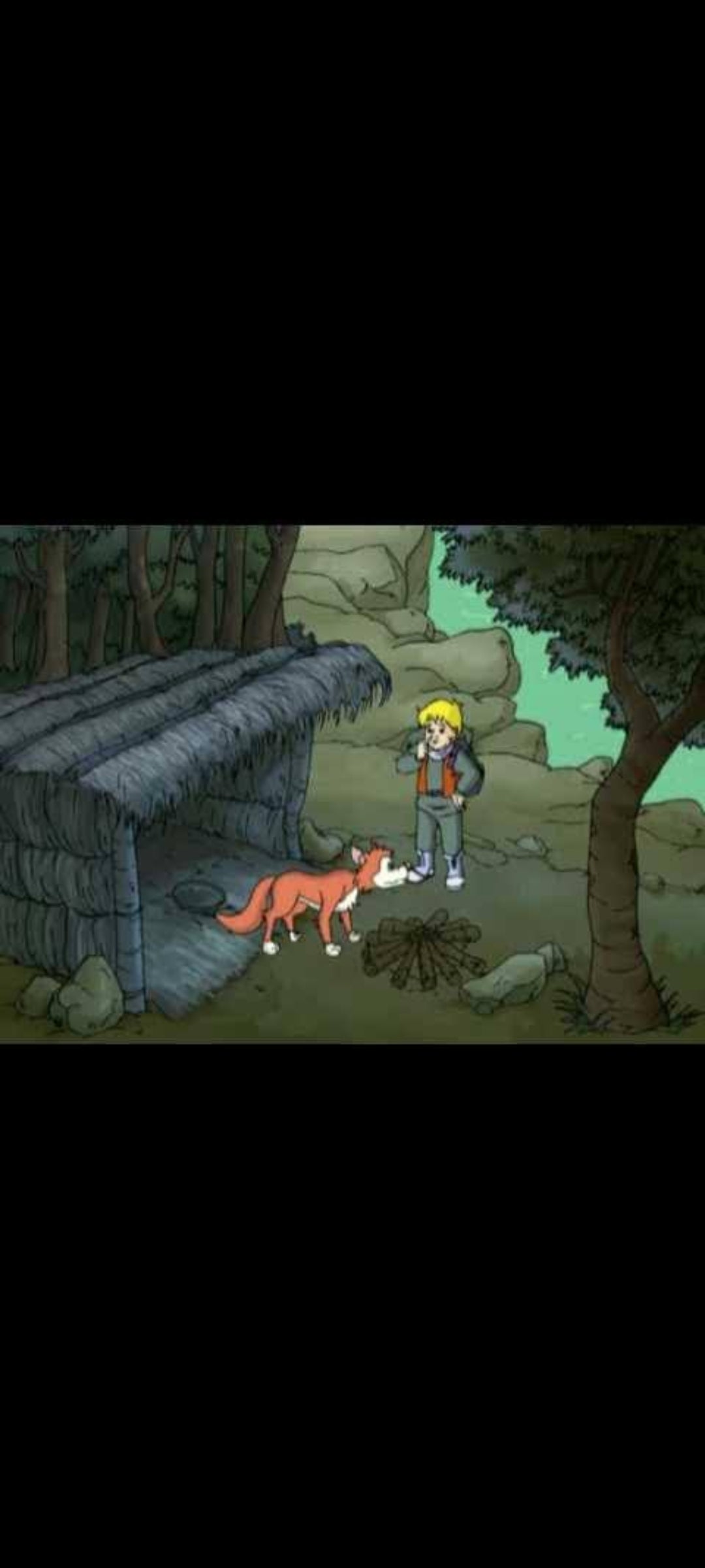 Le Grand Méchant Loup - DVD