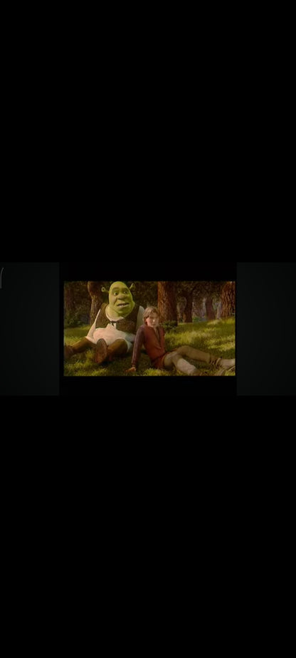 Shrek le Troisième - DVD