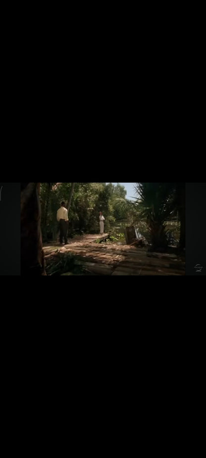 Wild Things 2 - DVD