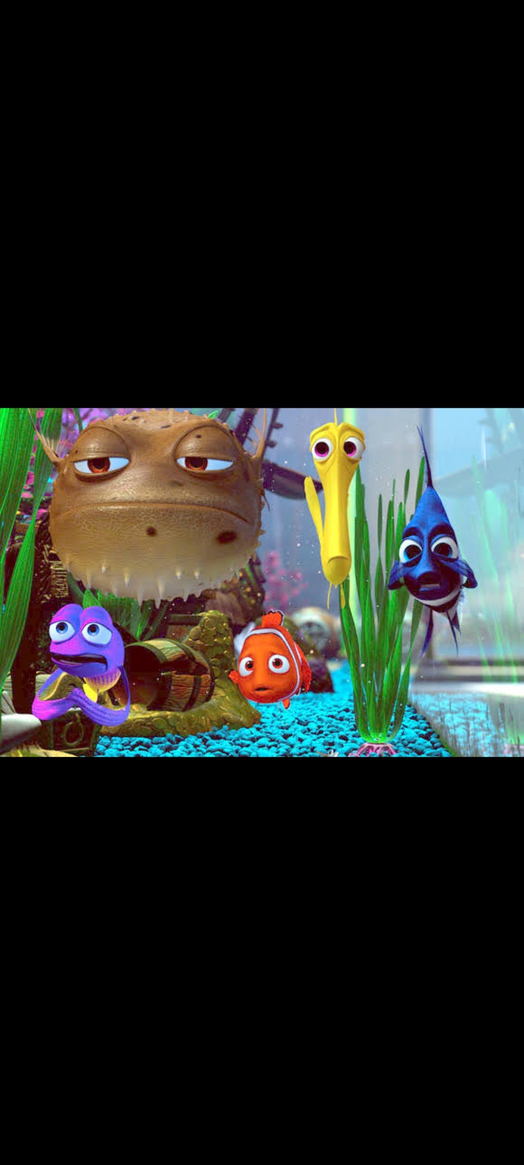DVD Le Monde de Nemo – Édition Collector 2 DVD – Disney Pixar – VF