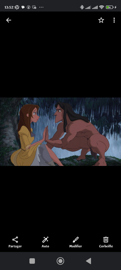 La Légende de Tarzan & Jane (DVD)