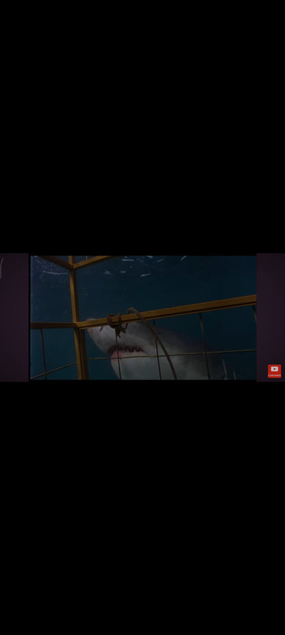 Shark Attack - DVD | Casper Van Dien, Ernie Hudson | Thriller Aquatique | Zone 2