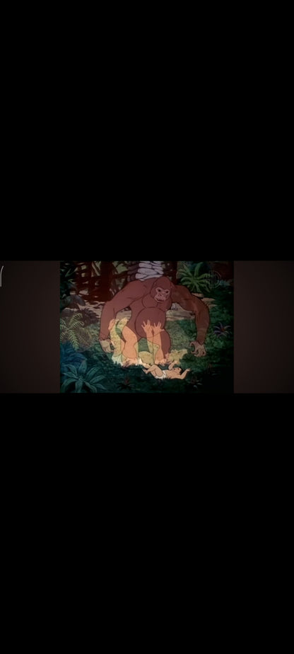 Le Seigneur de la Jungle - DVD Dessin Animé (Dauphin International / Kids Play)