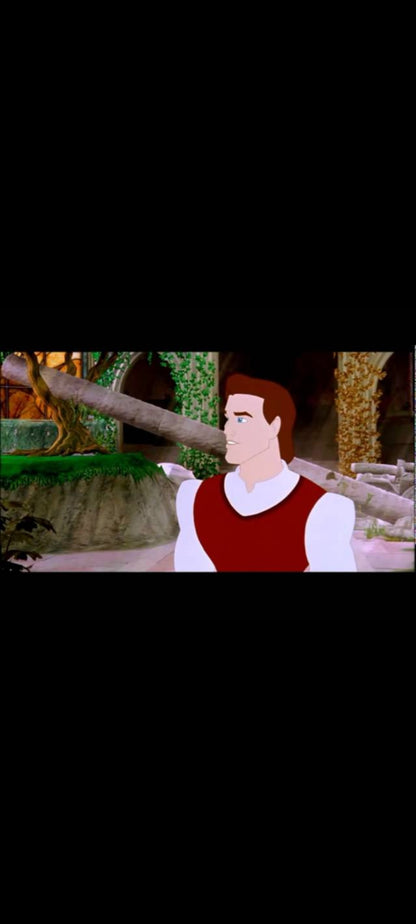 La Princesse au petit pois et autres contes – DVD – Hans Christian Andersen – Animation – SBBS