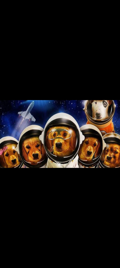 Les Copains dans l'Espace – DVD Disney – Walt Disney Studios Home Entertainment