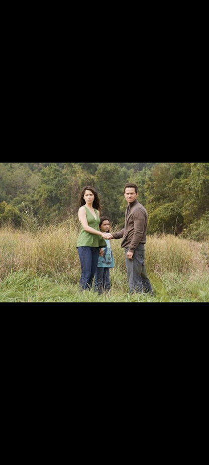 The Happening – DVD – M. Night Shyamalan, Mark Wahlberg – Édition anglaise