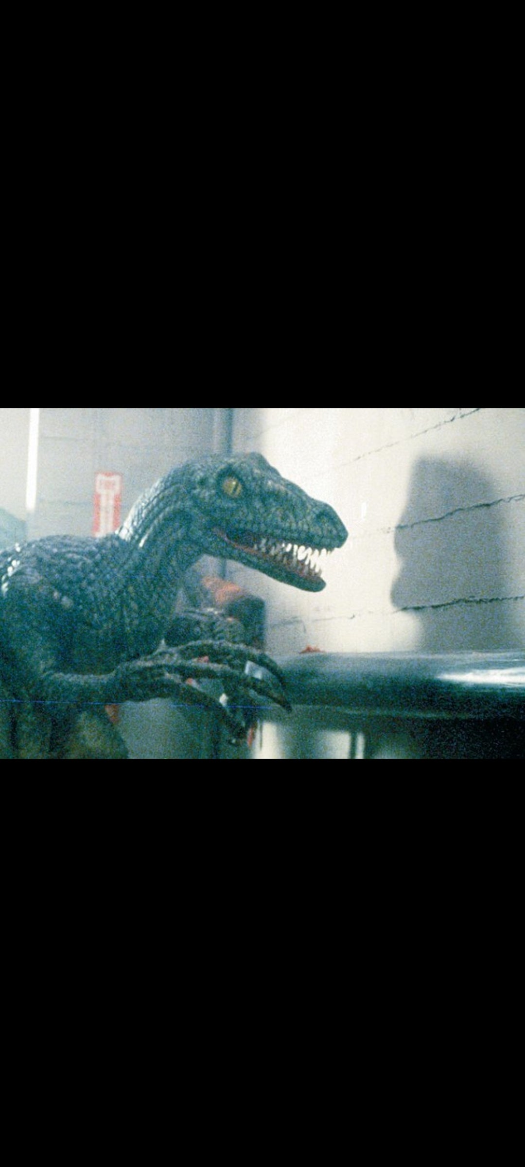 Raptor - DVD (Eric Roberts, Corbin Bernsen, Melissa Brasselle) - Horreur Dinosaures