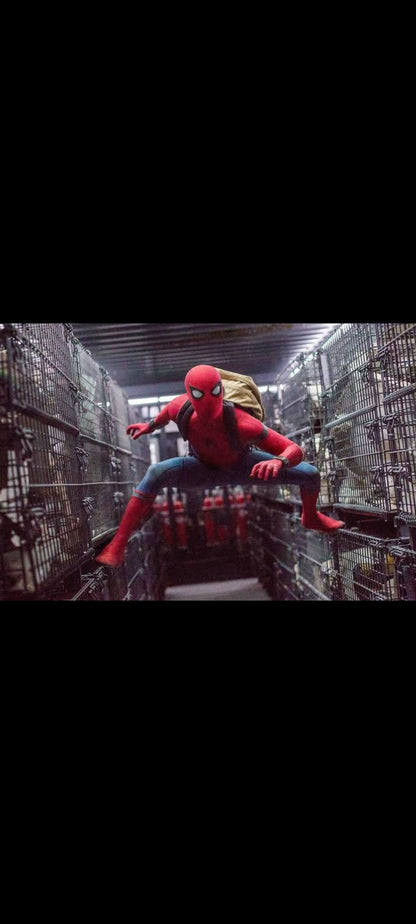 Spider-Man : Homecoming – DVD | Tom Holland • Michael Keaton | Marvel Studios • Sony