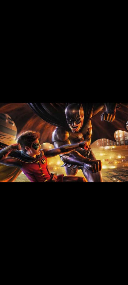 Batman vs Robin – DVD DC Universe – Warner Bros – Film d’animation