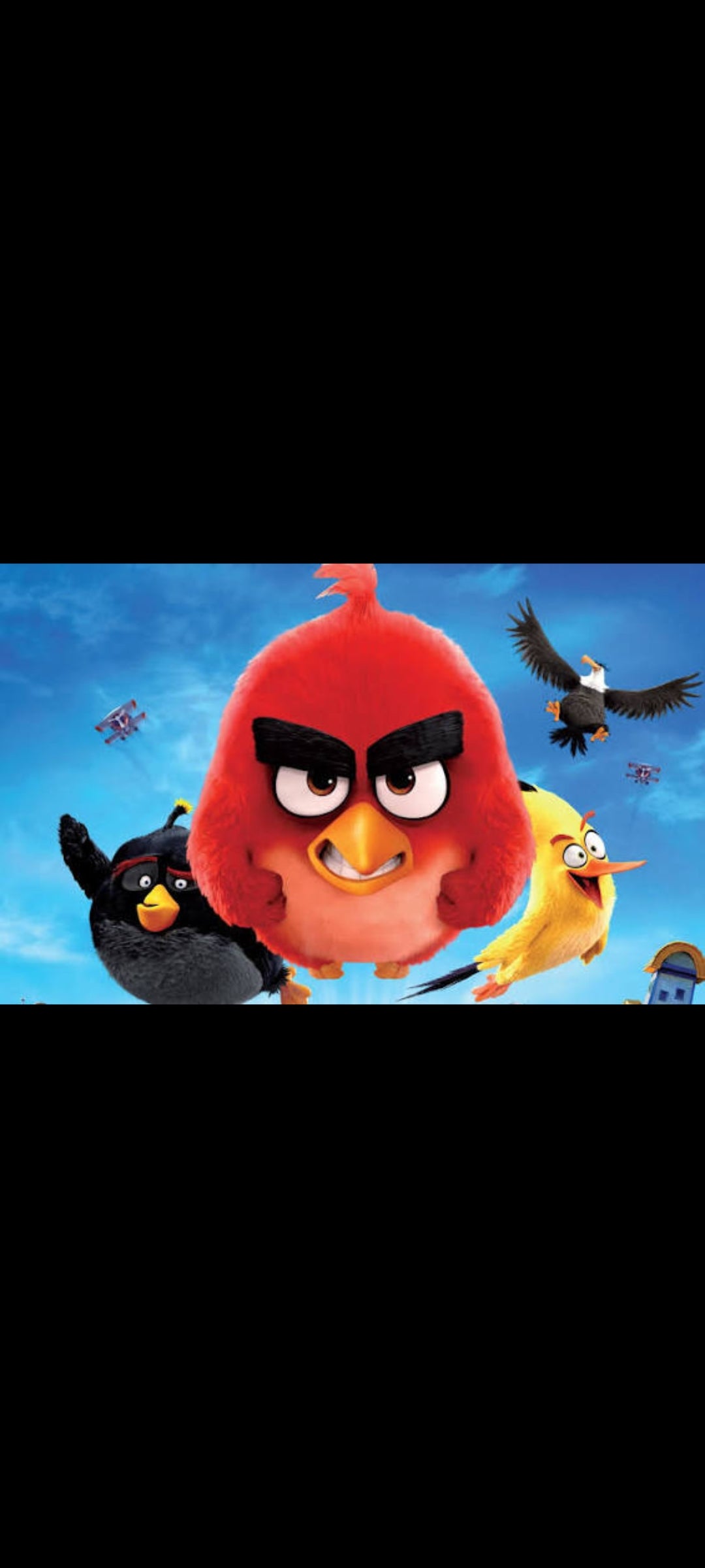 愤怒的小鸟 - 电影 - DVD + 数字版 UV (哥伦比亚影业 / Rovio / 索尼影视)