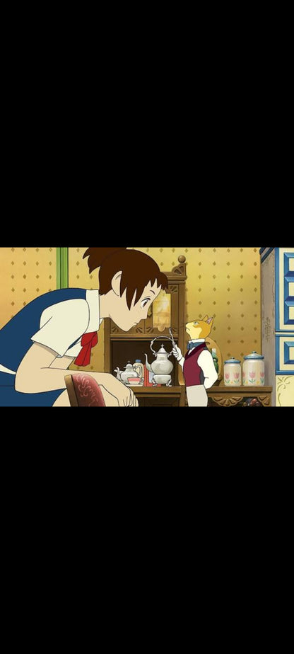Le Royaume des Chats – DVD Collection Studio Ghibli (Buena Vista Home Entertainment)