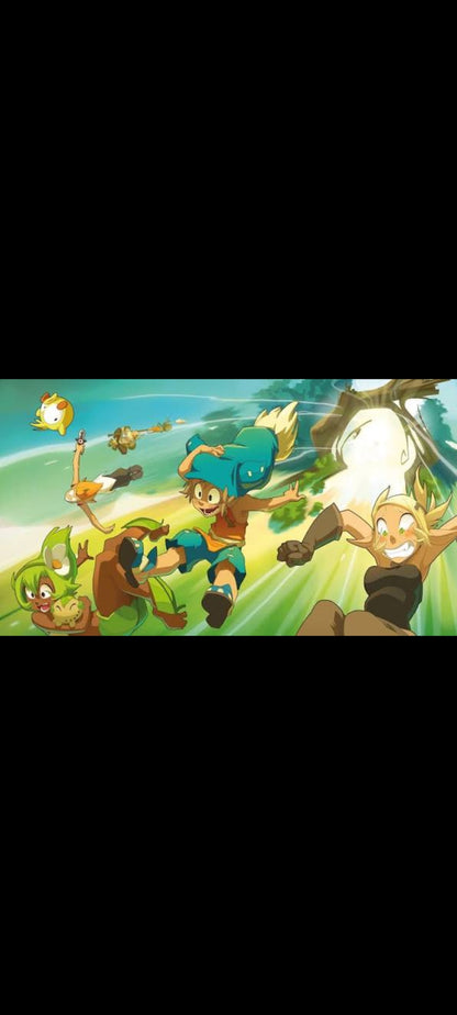 Wakfu – Saison 1 – Coffret 2 DVD (DVD 1 + DVD 4) – Ép. 1-7 & 21-26 (Ankama Animations / France Télévisions)