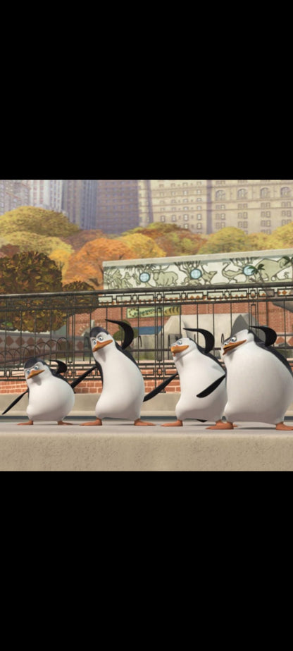Les Pingouins de Madagascar – Mission Noël – DVD
