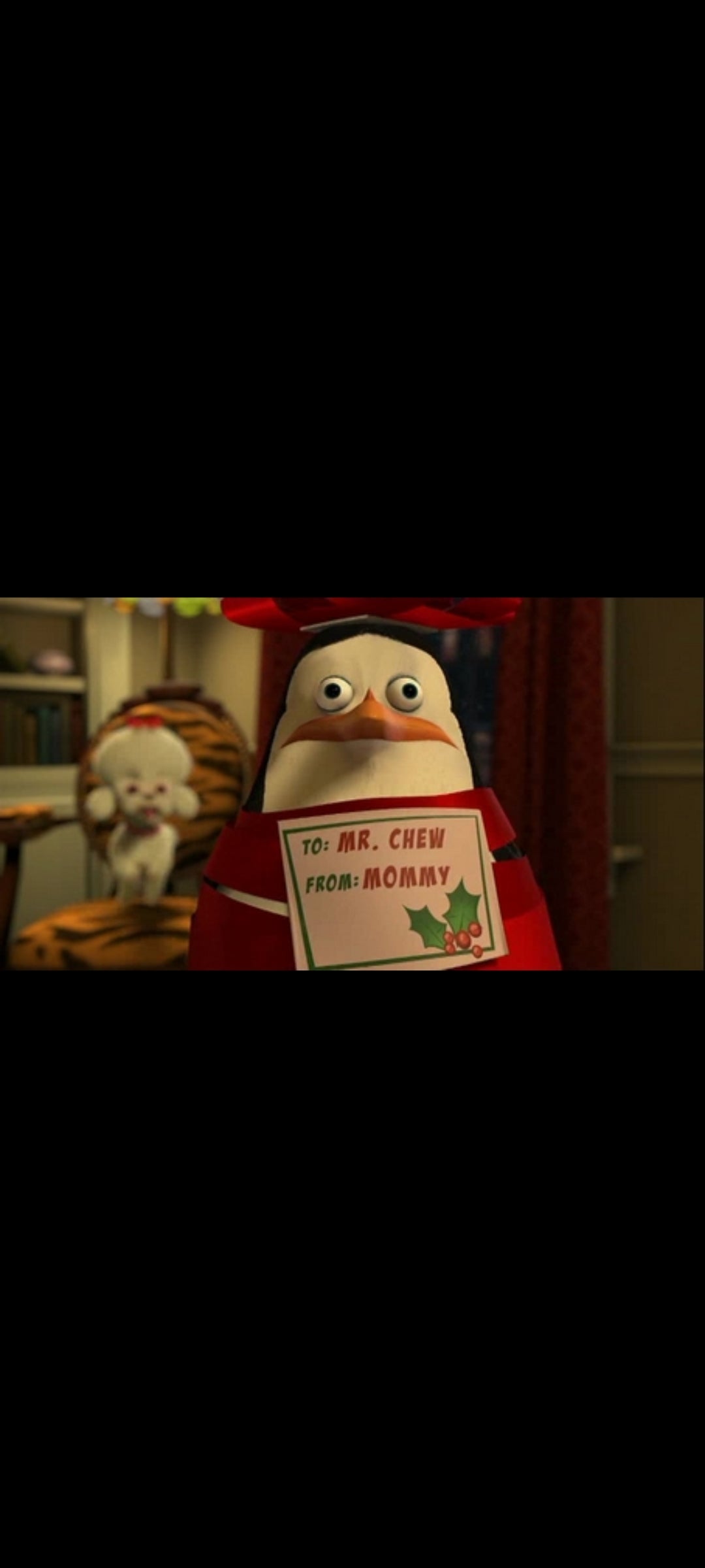 Les Pingouins de Madagascar – Mission Noël – DVD