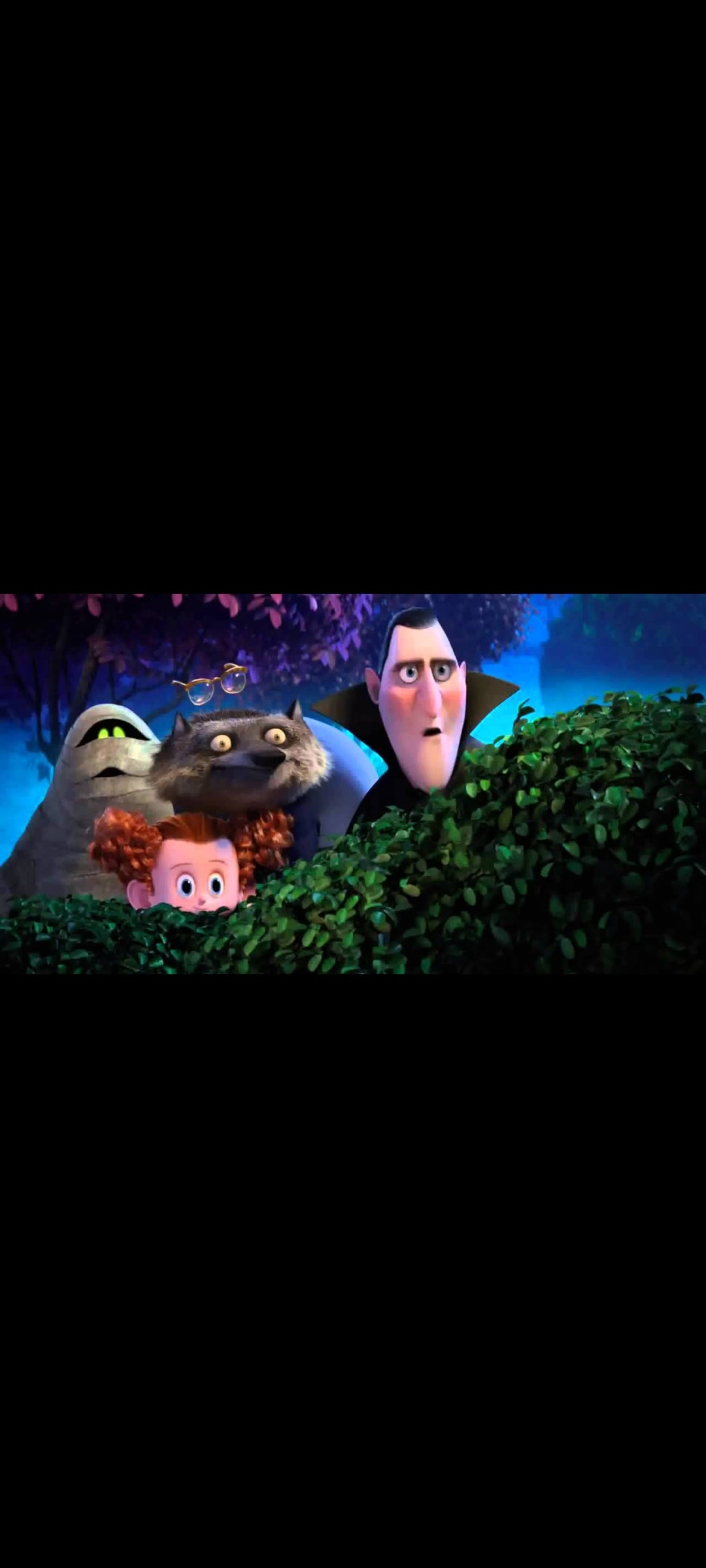 Hôtel Transylvanie 2 – DVD + Blu-ray – Sony Pictures Animation