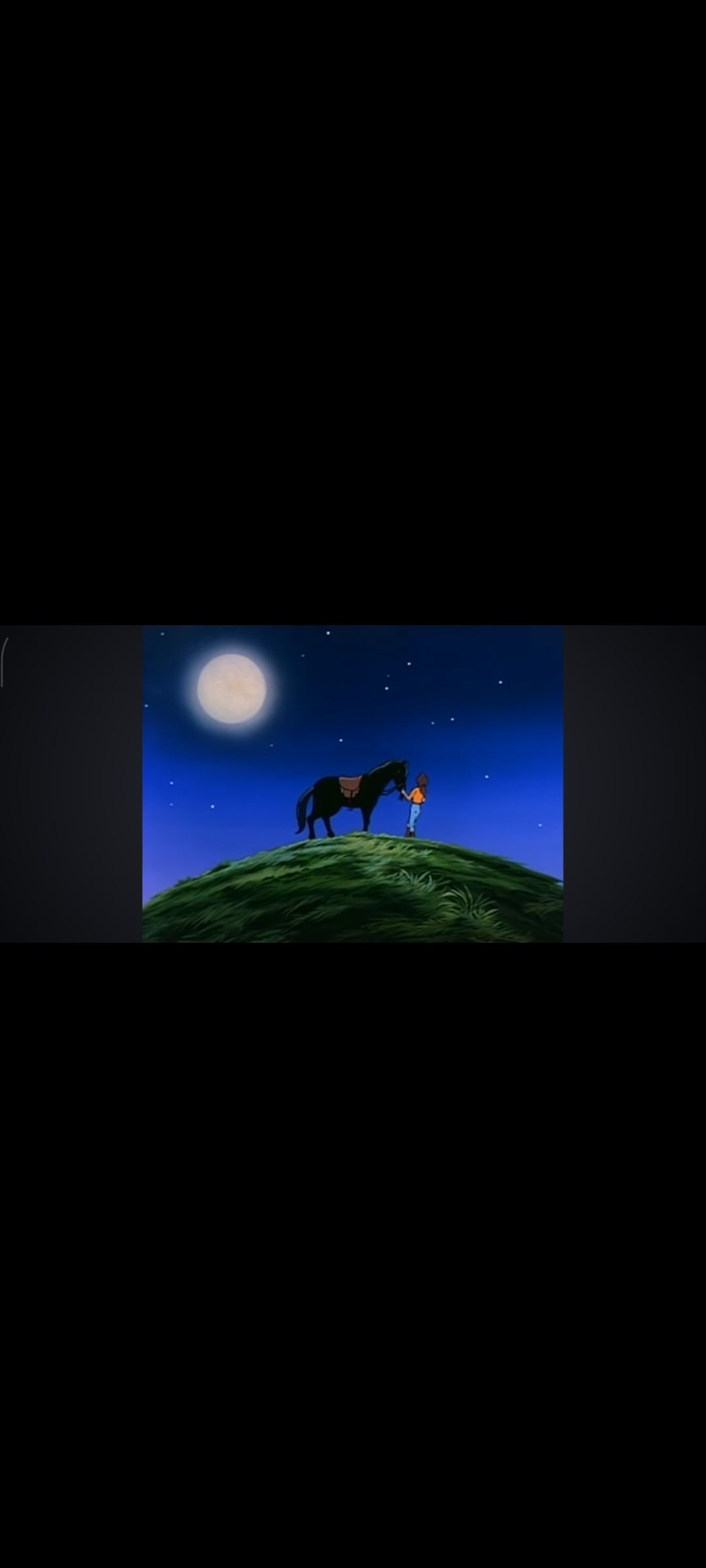 L’Étalon Noir – DVD Film Jeunesse – Adapté du roman d’Anna Sewell – Version Française