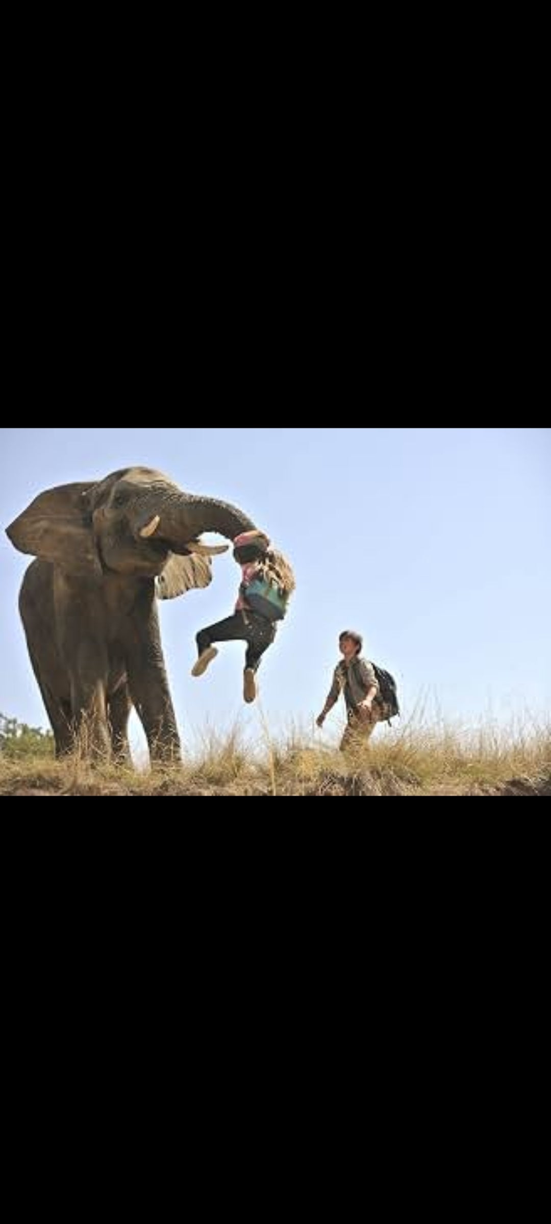 Safari – Animal thriller DVD – Pre-owned in good condition