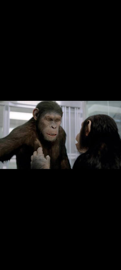 Rise of the Planet of the Apes – Blu-ray UK – Édition location