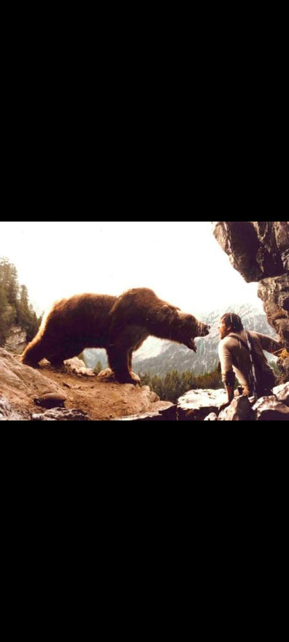 L’Ours – Bjørnen – DVD On Air Video – Édition danoise