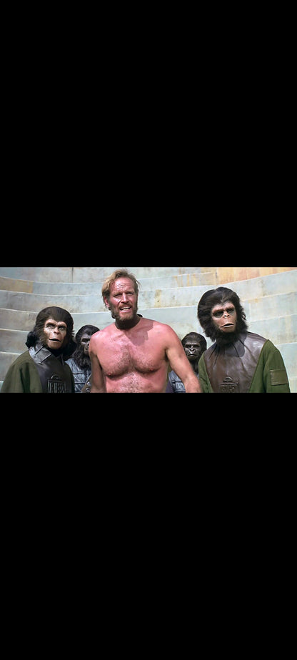 Planet of the Apes – La Planète des singes – DVD UK Fox – Charlton Heston